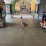 Akasa On Сasa de vacaciones *